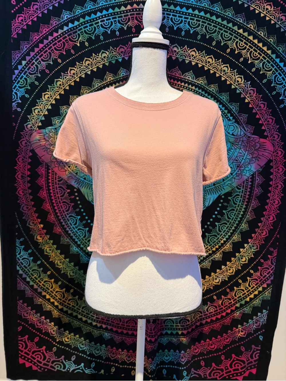 We The Free Cropped Tee in Blush